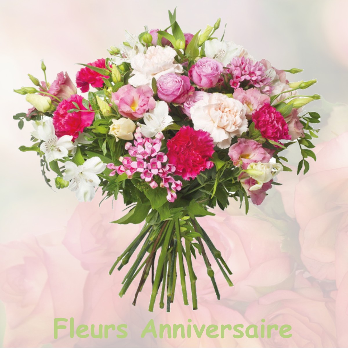 fleurs anniversaire DRUSENHEIM